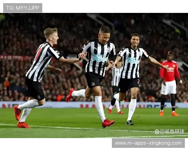 布伦特福德对阵纽卡斯尔联比赛预测与胜负分析专家点评 布伦特福德对阵纽卡斯尔联比赛预测与胜负分析专家点评