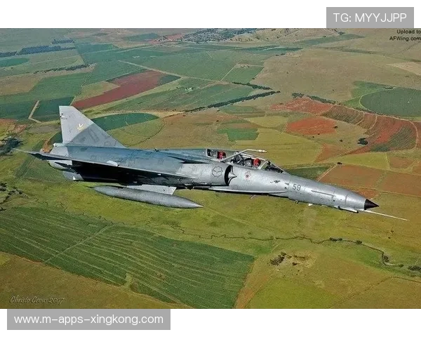 南非守备稳健，展现超强抗压能力，南非lg